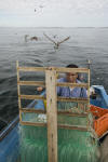 Longline Fishermen